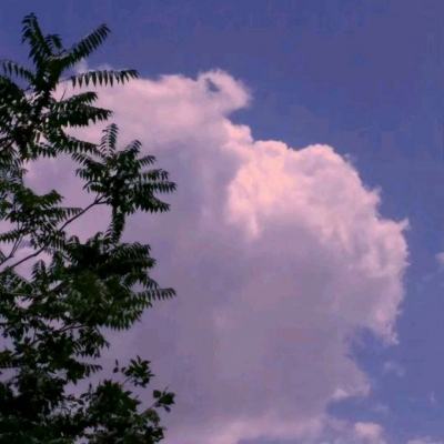 久游棋牌下载手机版